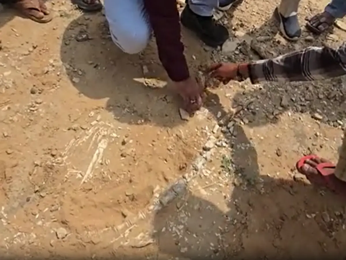 तालाब खुदाई के दौरान जैसलमेर में मिले डायनासोर के अवशेष