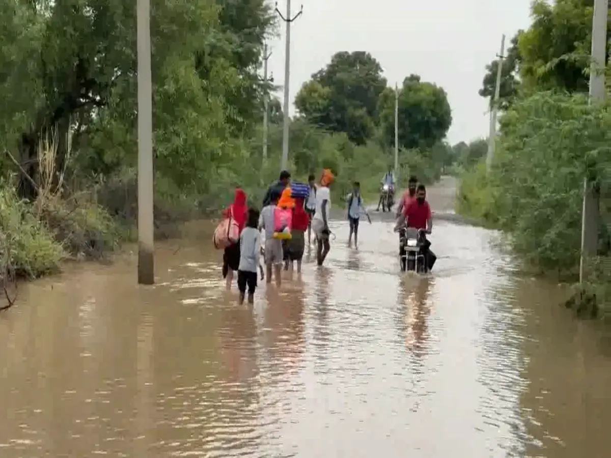 Ajmer News: बरसात का कहर! अजमेर का टिहरी गांव तालाब में तब्दील, लोग घरों में कैद Ajmer News: बरसात का कहर! अजमेर का टिहरी गांव तालाब में तब्दील, लोग घरों में कैद