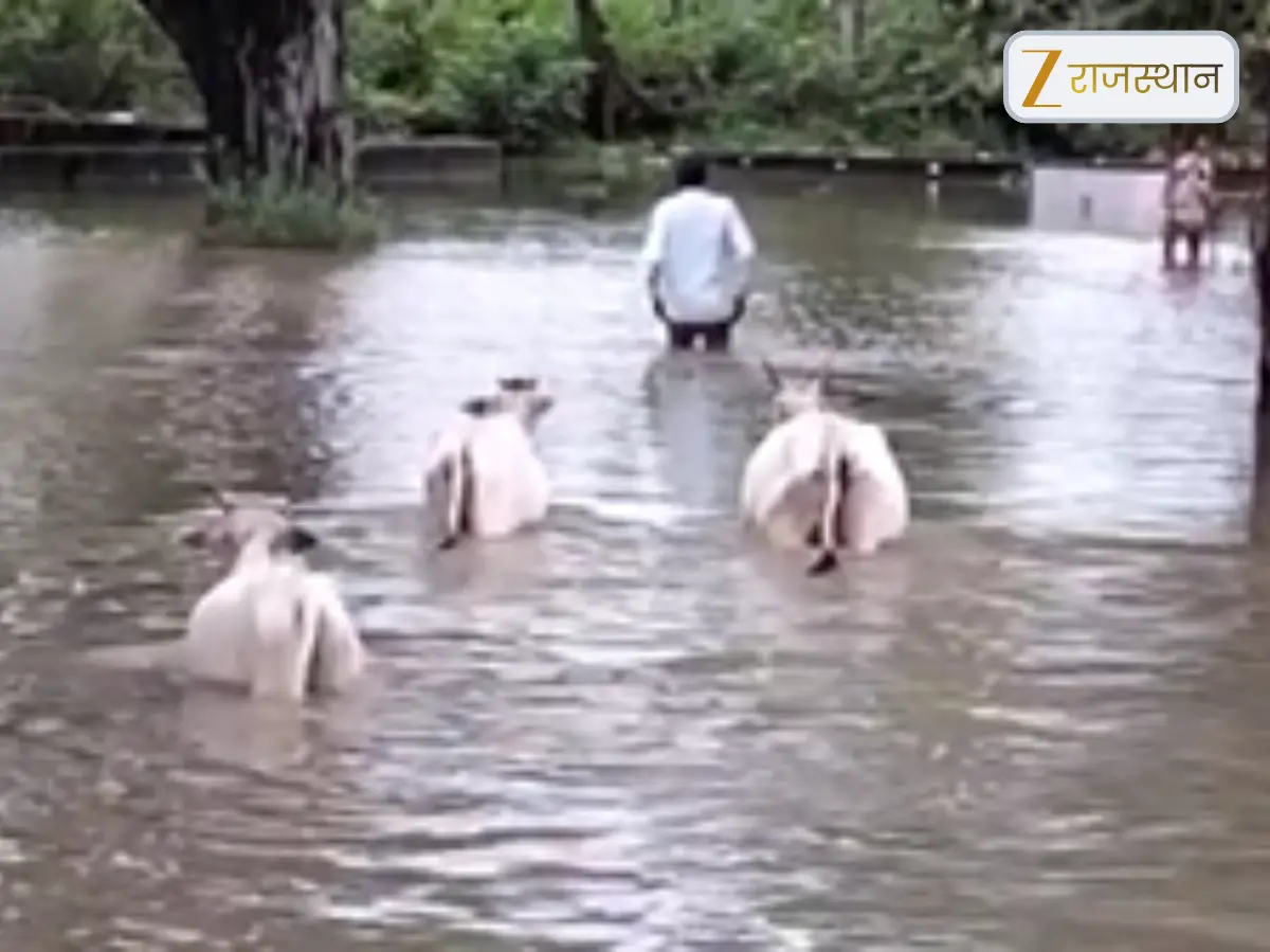 Kota News: भारी बारिश से कोटा बेहाल, सांगोद में बाढ़ जैसे हालात, NDRF-SDRF अलर्ट Kota News: भारी बारिश से कोटा बेहाल, सांगोद में बाढ़ जैसे हालात, NDRF-SDRF अलर्ट
