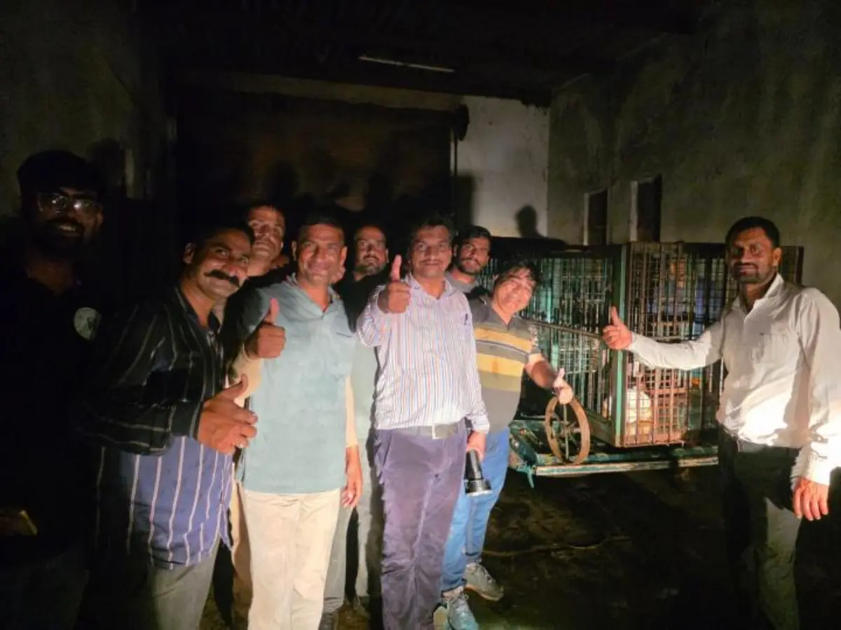 तेंदुए को पकड़ने के लिए 60 घंटे तक चला सर्च ऑपरेशन, वन विभाग की टीम ने 3 दिन बाद किया रेस्क्यू