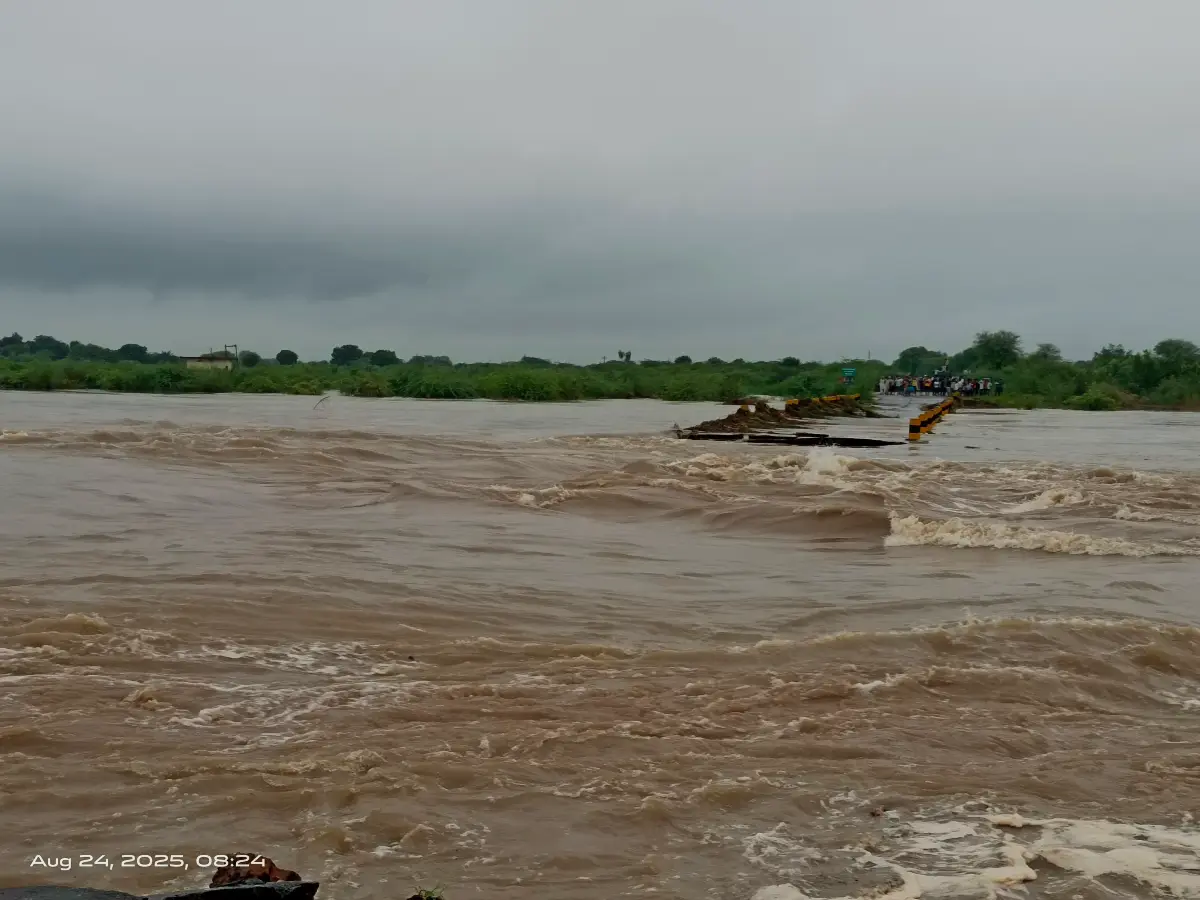 Sawai Madhopur: 3 दिन की बारिश से तबाही! मोरेल नदी के उफान में हाईवे बहा, संपर्क टूटा Sawai Madhopur: 3 दिन की बारिश से तबाही! मोरेल नदी के उफान में हाईवे बहा, संपर्क टूटा