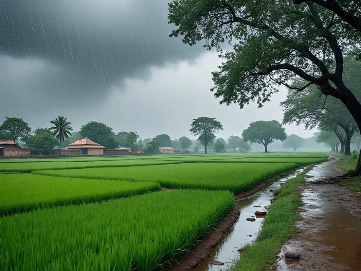 Rajasthan Weather Update