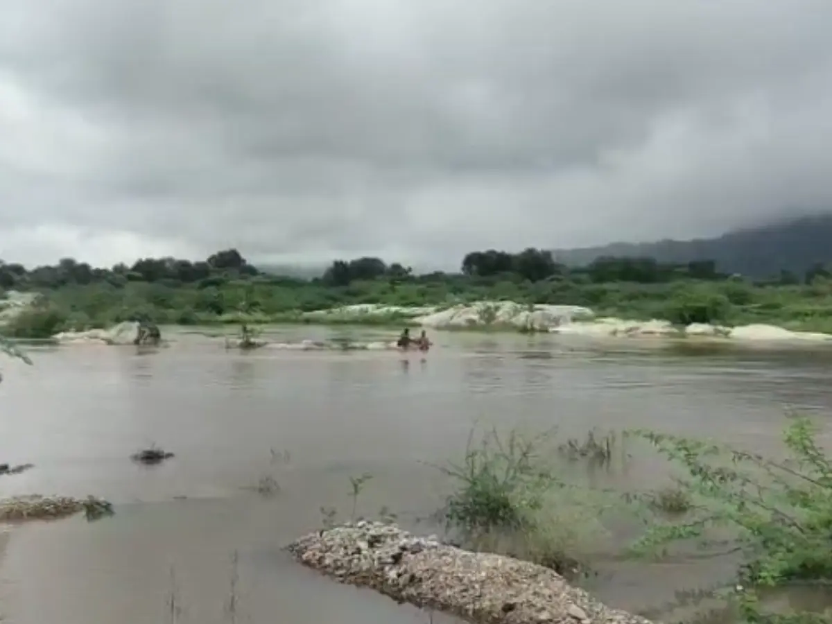 Sirohi: बनास नदी में फंसे 2 छात्र, रेस्क्यू ऑपरेशन से सुरक्षित निकाला गया बाहर