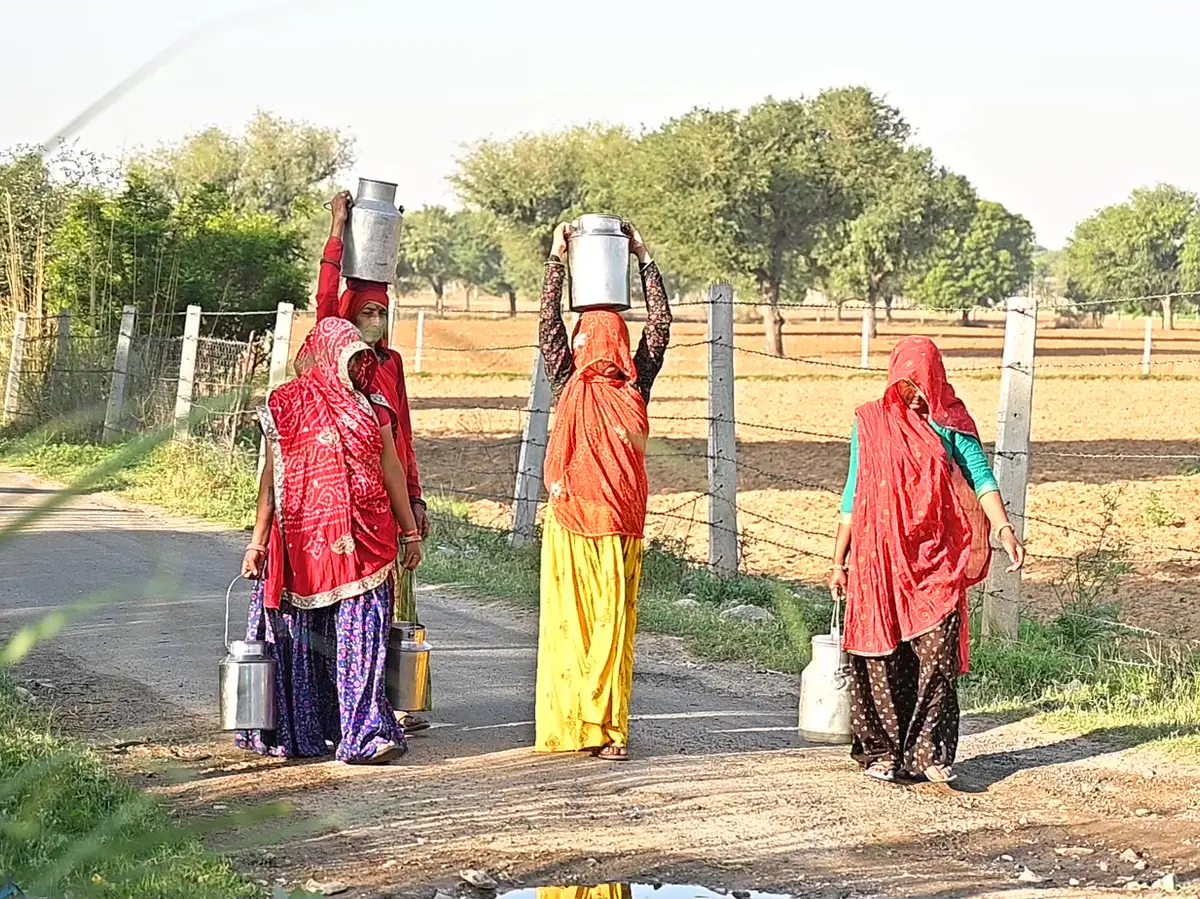 जयपुर में दूध के दाम बढ़ने से किसे होगा डायरेक्ट फायदा, यहां जानिए जयपुर में दूध के दाम बढ़ने से किसे होगा डायरेक्ट फायदा, यहां जानिए