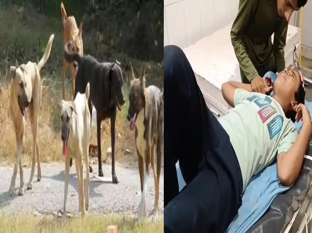 'बच्चे क्यों घरों में कैद हों, कुत्तों को कैद करो', अलवर में छलका लोगों का दर्द 'बच्चे क्यों घरों में कैद हों, कुत्तों को कैद करो', अलवर में छलका लोगों का दर्द