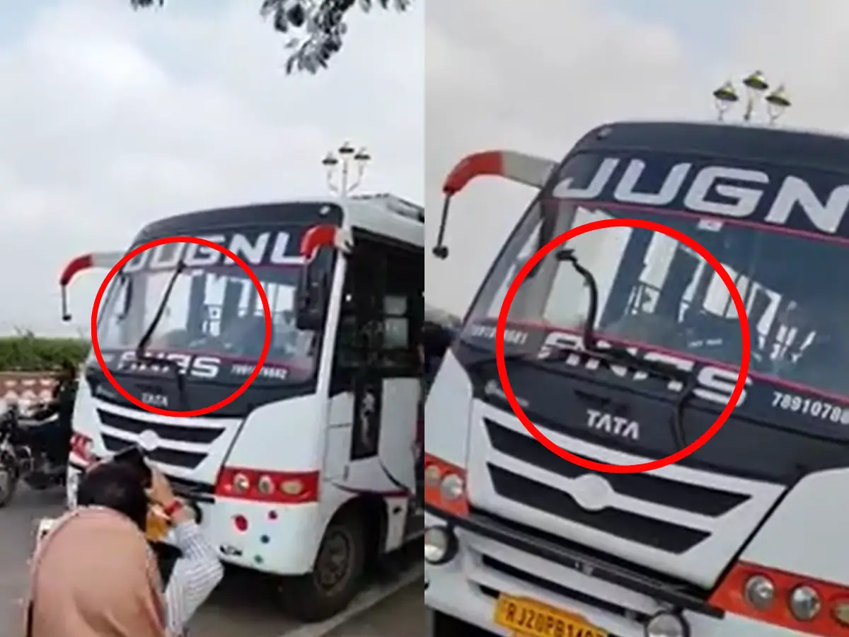 चलती बस के कांच पर दिखा किंग कोबरा, देखते ही ड्राइवर के छूटे पसीने, देखें वीडियो