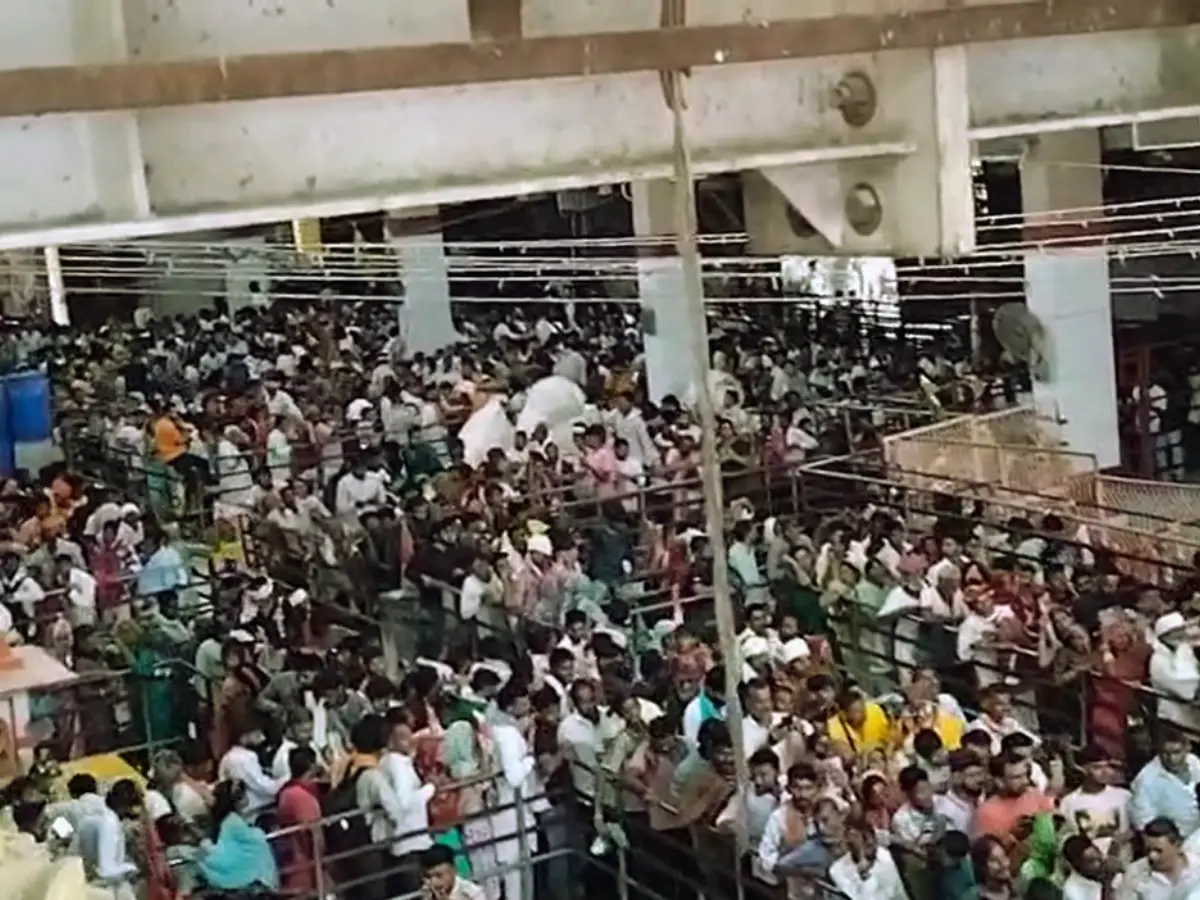 सैकड़ों किलोमीटर पदयात्रा के बाद बाबा के दरबार में पहुंचे श्रद्धालु, उत्साह चरम पर