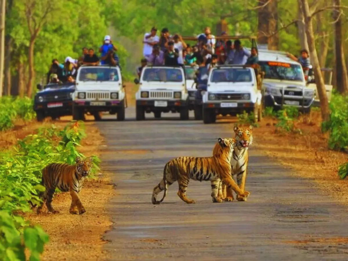 यात्रा का सही समय