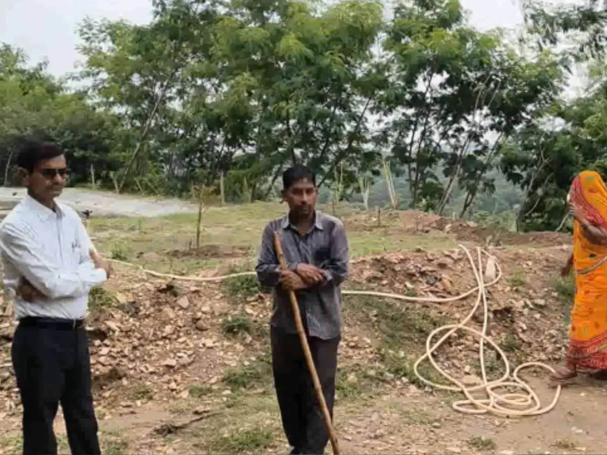 राजसमंद के नारायण कुमावत ने लगाए एक लाख से ज्यादा पौधे, 25 सालों से कर रहे काम राजसमंद के नारायण कुमावत ने लगाए एक लाख से ज्यादा पौधे, 25 सालों से कर रहे काम