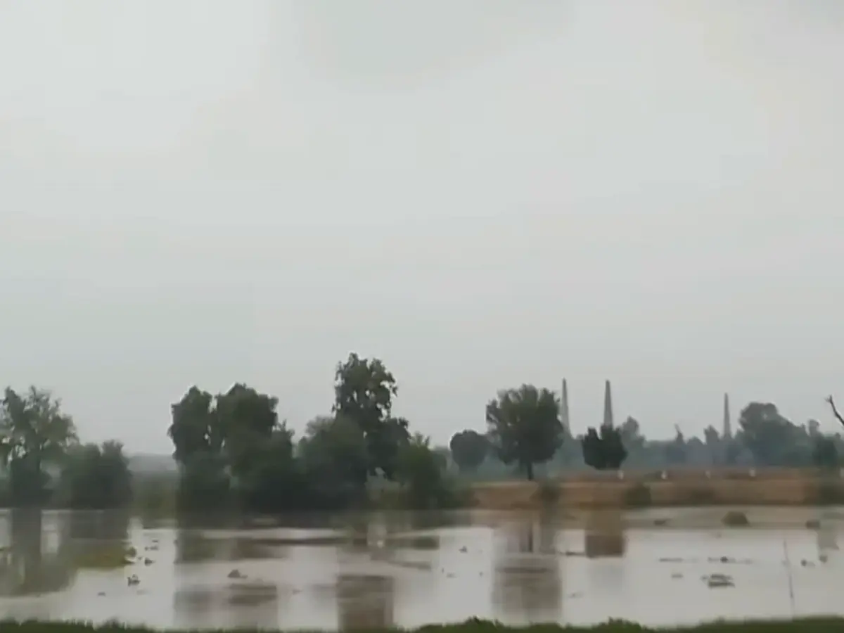 घग्घर नदी पर बंधों की स्थिति को लेकर सोशल मीडिया पर हड़कंप, हनुमानगढ़ प्रशासन अलर्ट घग्घर नदी पर बंधों की स्थिति को लेकर सोशल मीडिया पर हड़कंप, हनुमानगढ़ प्रशासन अलर्ट