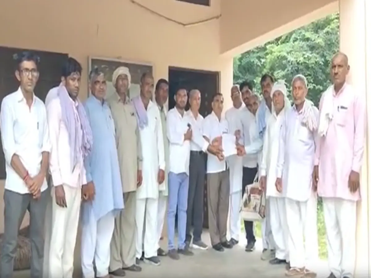 Churu News: मेहनत पर फिरा पानी! लीलकी में 90% मूंग की फसल खराब, किसान परेशान