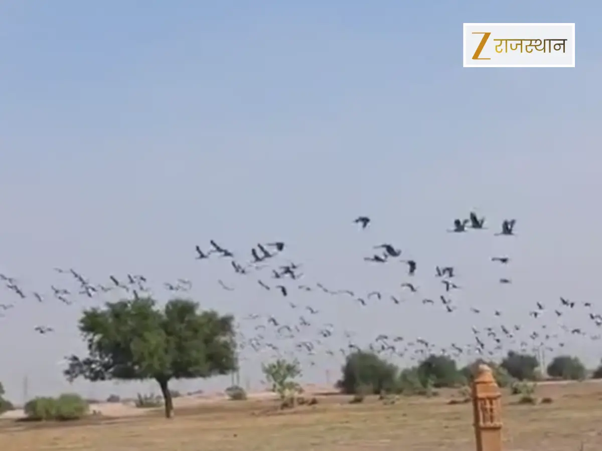 Jaisalmer News: मेहमान पक्षियों ने आसमान की ऊंचाईयों से दी दस्तक, माहौल हुआ खुशनुमा