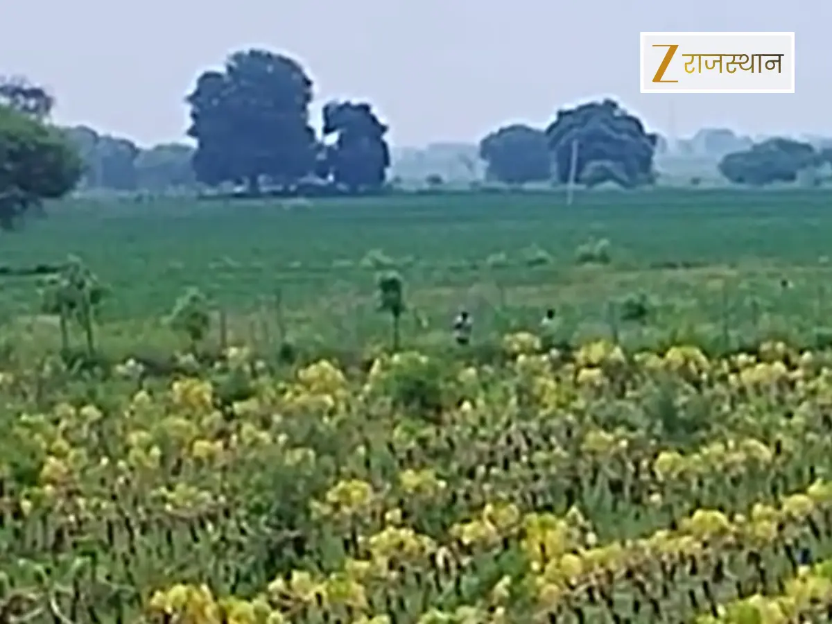रंजिश में किसान को दिया झटका, उजाड़ दिए पपीते के 4 हजार पेड़, FIR दर्ज के बाद भी पुलिस ने ठंडे बसते में डाली कार्रवाई