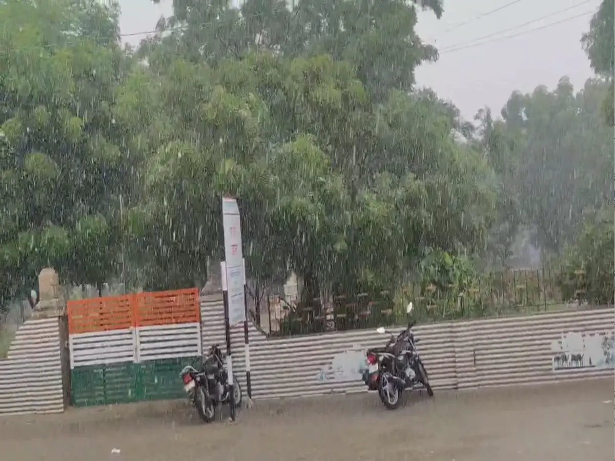 डीडवाना में बारिश के चक्र में घिरा घर, परिवार दहशत में जीने को मजबूर डीडवाना में बारिश के चक्र में घिरा घर, परिवार दहशत में जीने को मजबूर