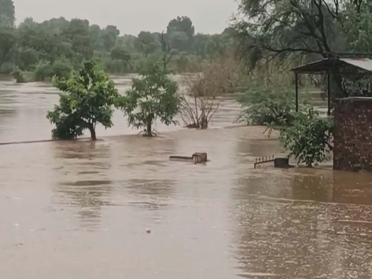 Dholpur News : उफान पर पार्वती नदी, सड़क पर 6 फीट की पानी की चादर Dholpur News : उफान पर पार्वती नदी, सड़क पर 6 फीट की पानी की चादर