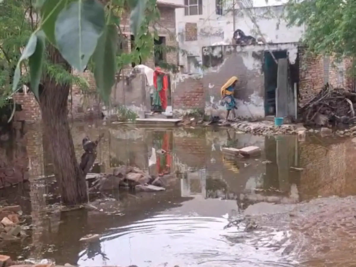 Sujangarh water logging