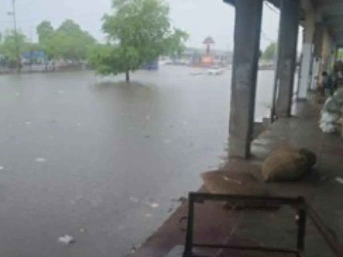 जयपुर में 3 दिन से लगातार बारिश, एशिया की सबसे बड़ी मुहाना मंडी हुई पानी-पानी जयपुर में 3 दिन से लगातार बारिश, एशिया की सबसे बड़ी मुहाना मंडी हुई पानी-पानी