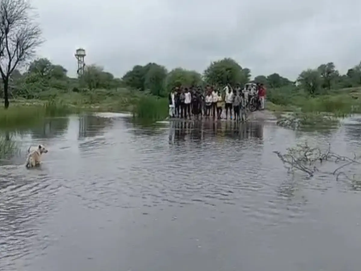 ब्यावर में भारी बारिश से भेरू खेड़ा गाँव का संपर्क टूटा, आम जन- जीवन प्रभावित ब्यावर में भारी बारिश से भेरू खेड़ा गाँव का संपर्क टूटा, आम जन- जीवन प्रभावित