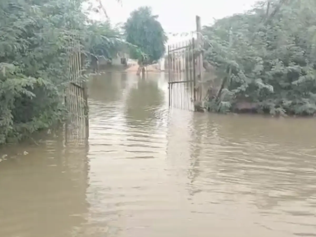 Jalore News: लूणी नदी का पानी आने से पावटा गांव बान टापू, सभी रास्ते हुए बंद