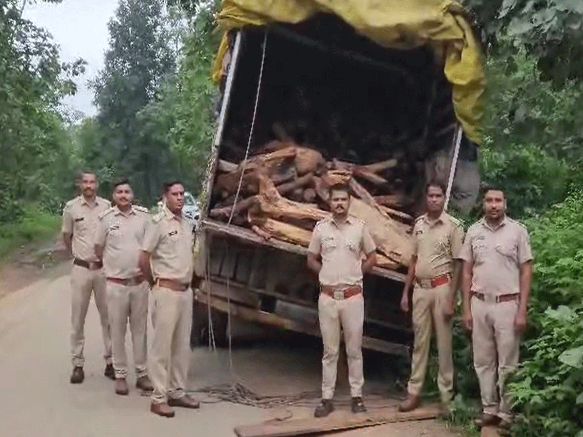 प्रतापगढ़ के सीता माता वन्य जीव अभ्यारण्य में खेर की लकड़ी की तस्करी, तस्कर फरार