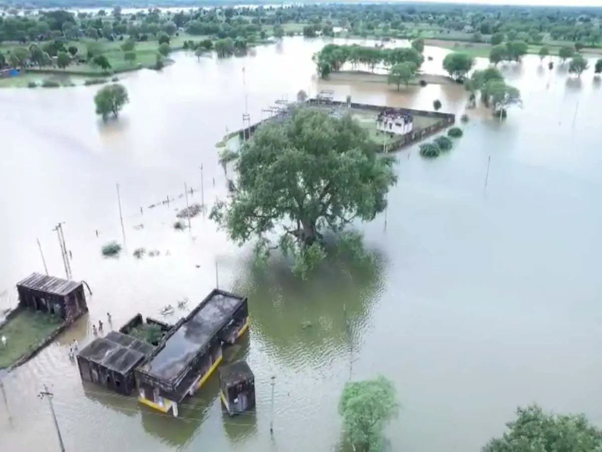 Dausa News : मोरल नदी के उफान से डूबने की कगार पर 22 गांव, श्रीमा गांव जलमग्न