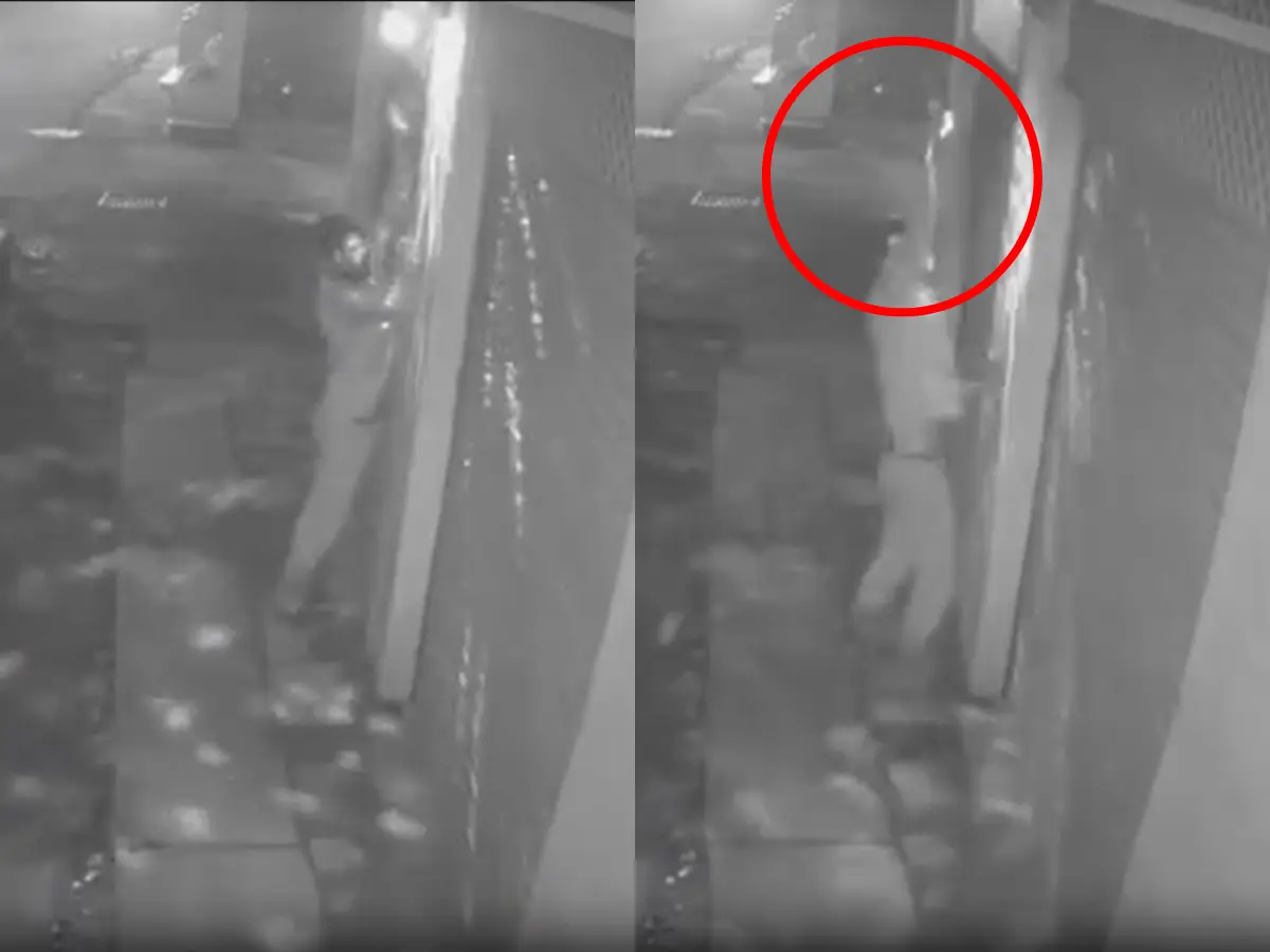 टिम-टिम लाइटों पर चोर का आया दिल, फिर कर डाला कांड, वारदात CCTV में कैद टिम-टिम लाइटों पर चोर का आया दिल, फिर कर डाला कांड, वारदात CCTV में कैद