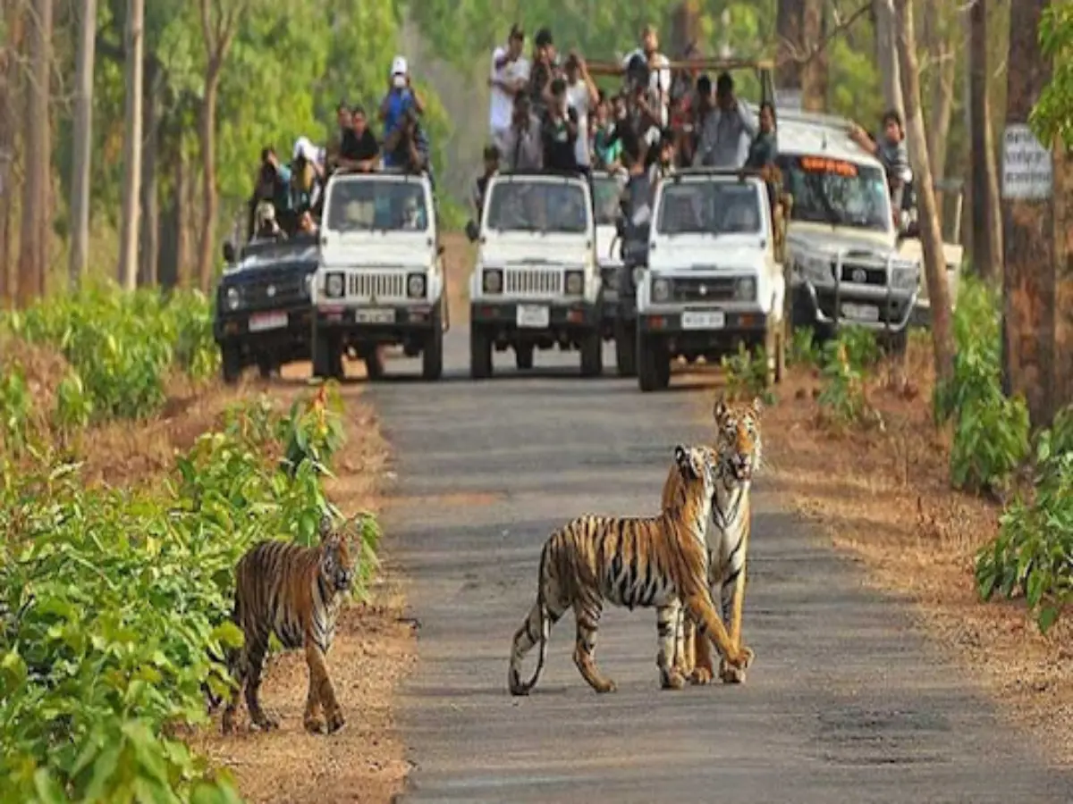 गठन प्रक्रिया