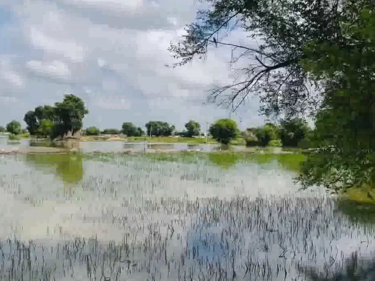 ऑनलाइन पढ़ाई की व्यवस्था