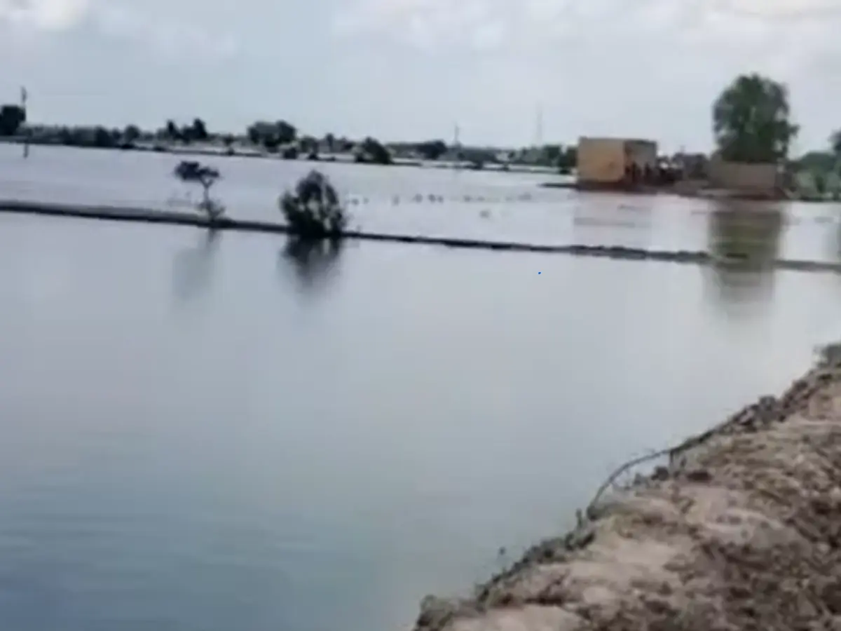 शिक्षक