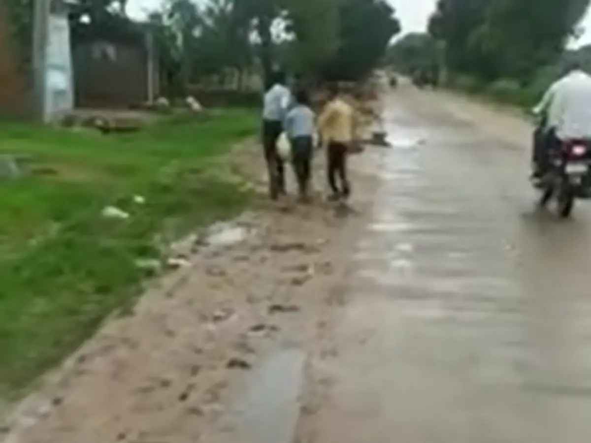 Viral Video