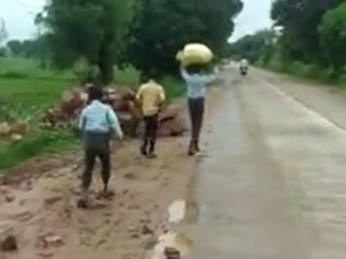 Viral Video