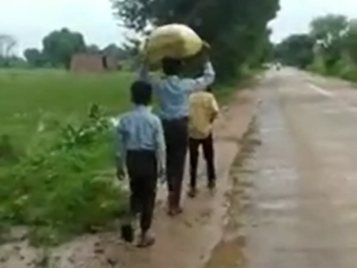 Viral Video