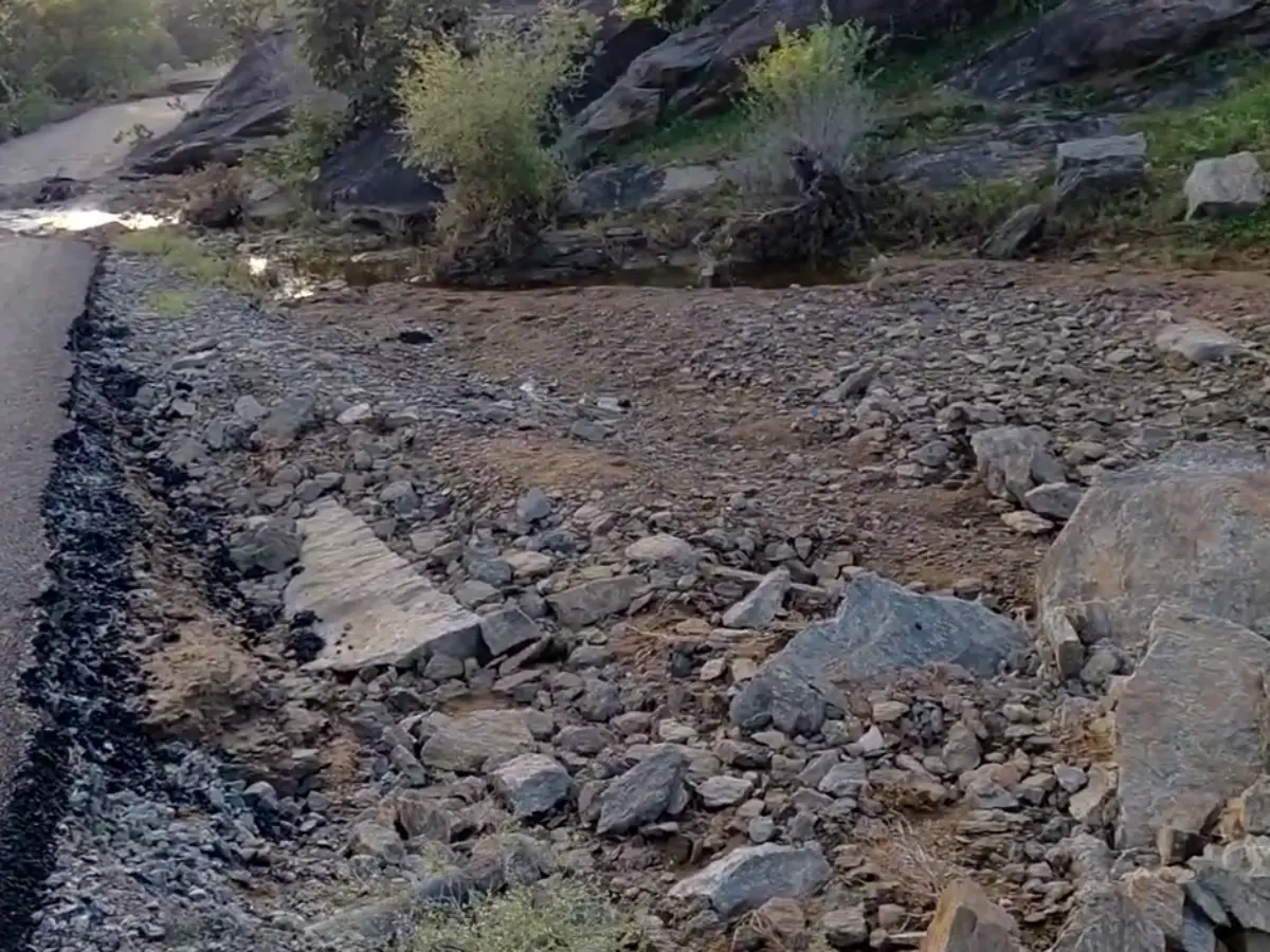 खेतों की दुर्दशा