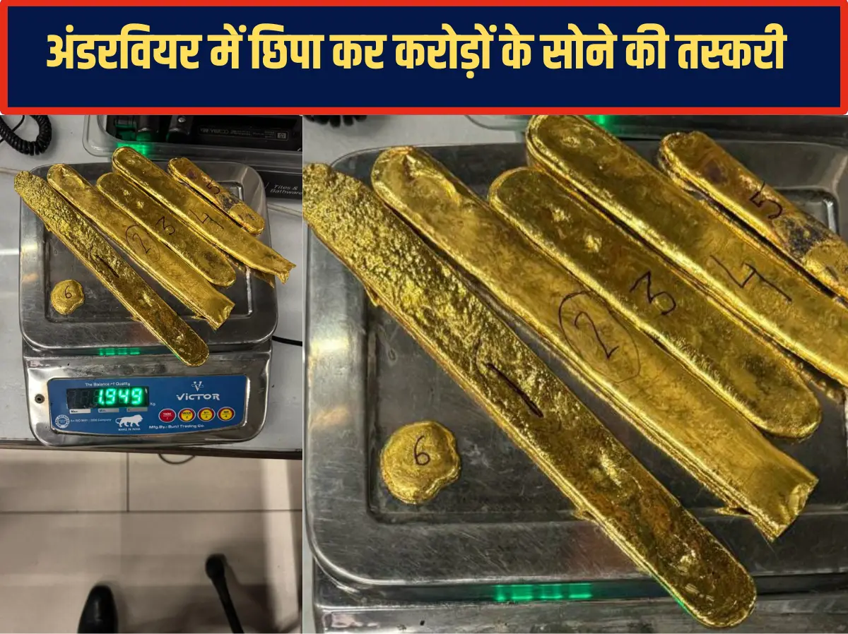 Jaipur News: सऊदी अरब से अंडरवियर में छिपा कर लाया 2.18 करोड़ रुपये का सोना, DRI ने जयपुर एयरपोर्ट पर 2 KG Gold के साथ दबोचा शख्स Jaipur News: सऊदी अरब से अंडरवियर में छिपा कर लाया 2.18 करोड़ रुपये का सोना, DRI ने जयपुर एयरपोर्ट पर 2 KG Gold के साथ दबोचा शख्स
