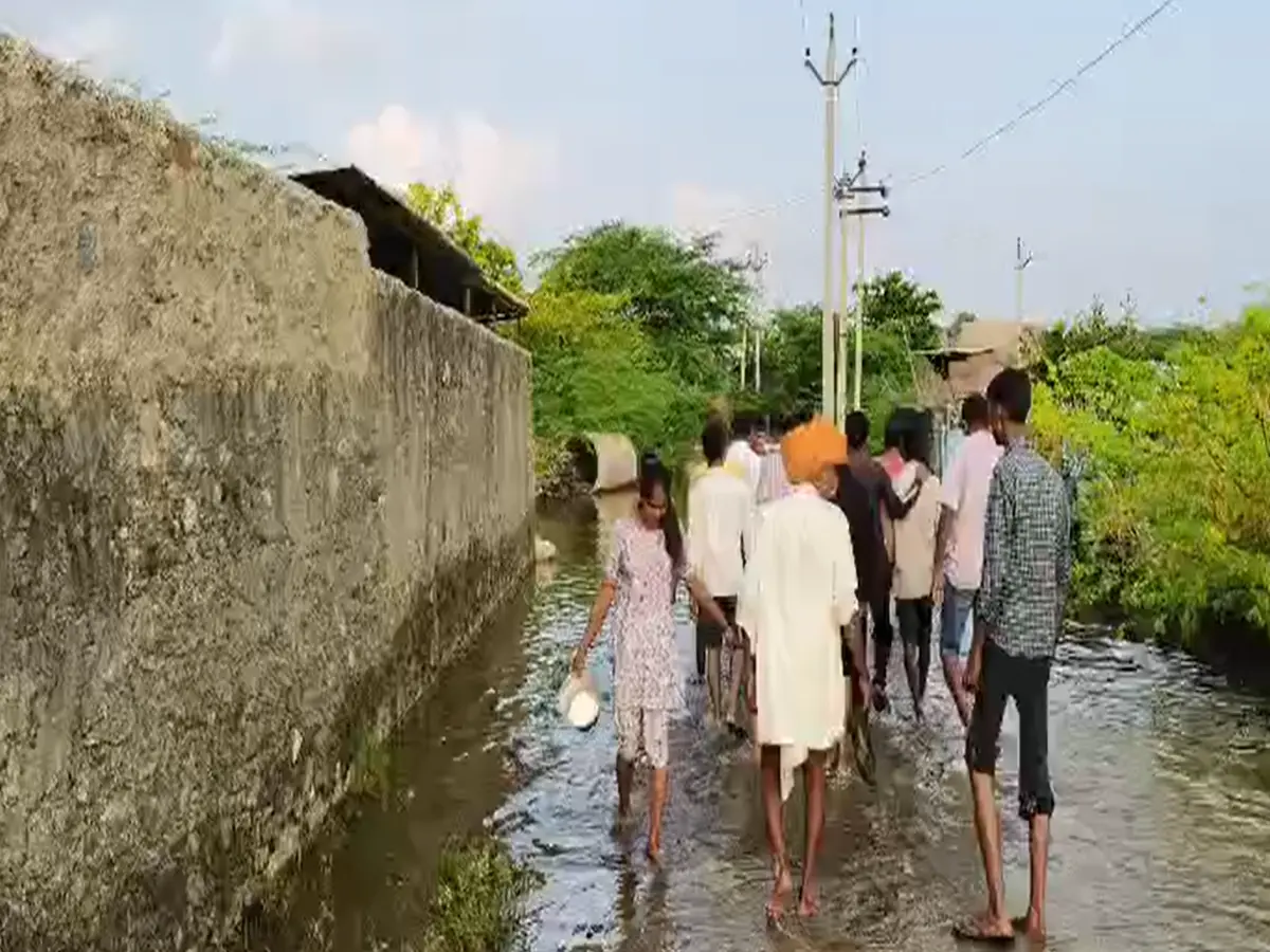 पशुधन की जान का बना हुआ है खतरा