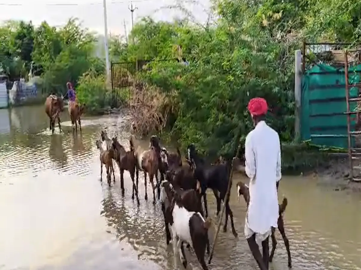 कार्रवाई न होने से ग्रामीणों में आक्रोश