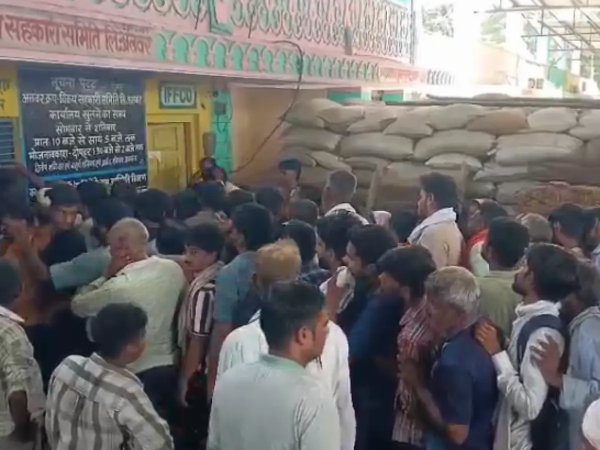 Alwar News: अलवर में यूरिया खाद की भारी कमी, ब्लैक में खाद बेचने का आरोप Alwar News: अलवर में यूरिया खाद की भारी कमी, ब्लैक में खाद बेचने का आरोप