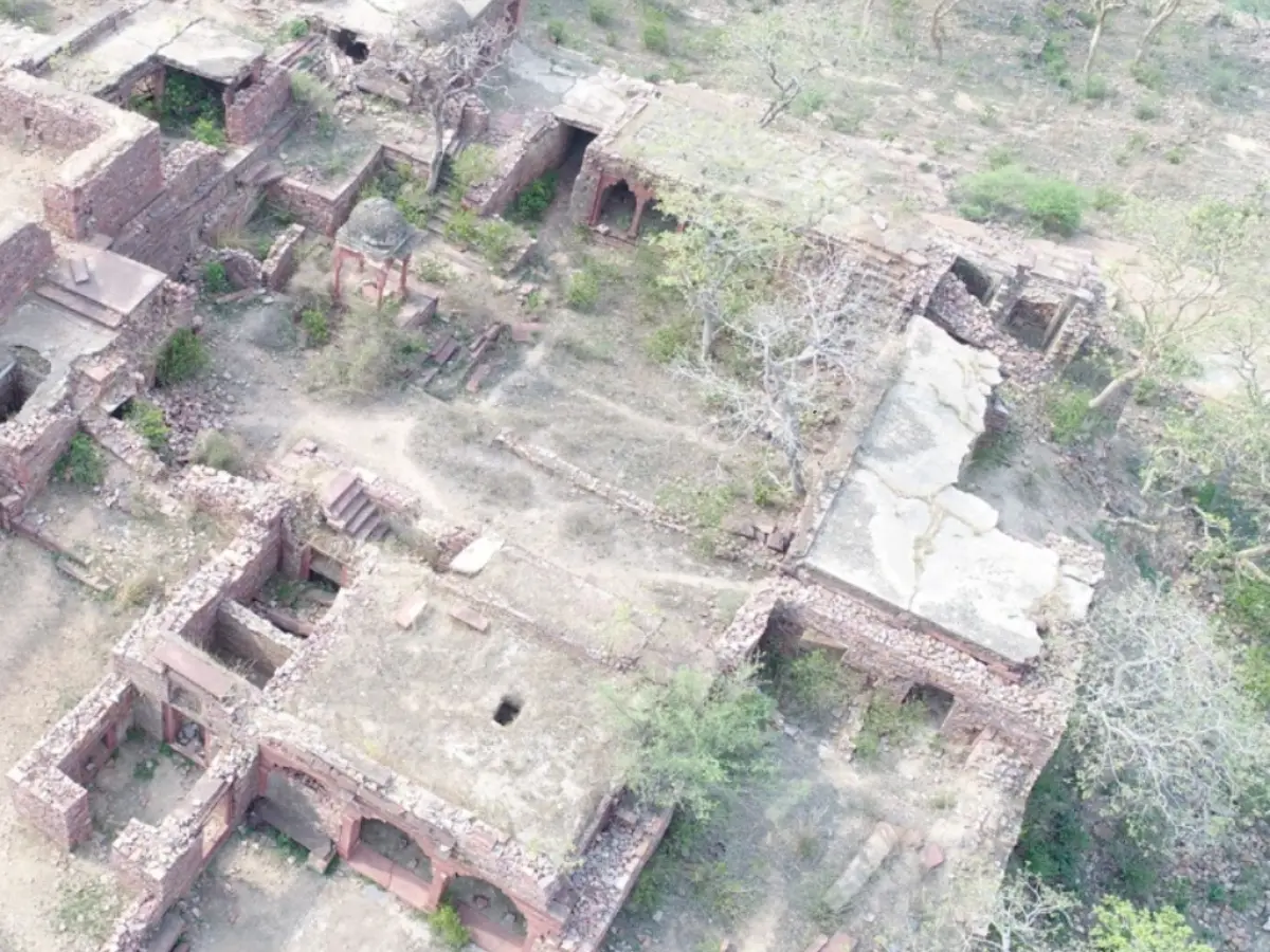 कला और संस्कृति