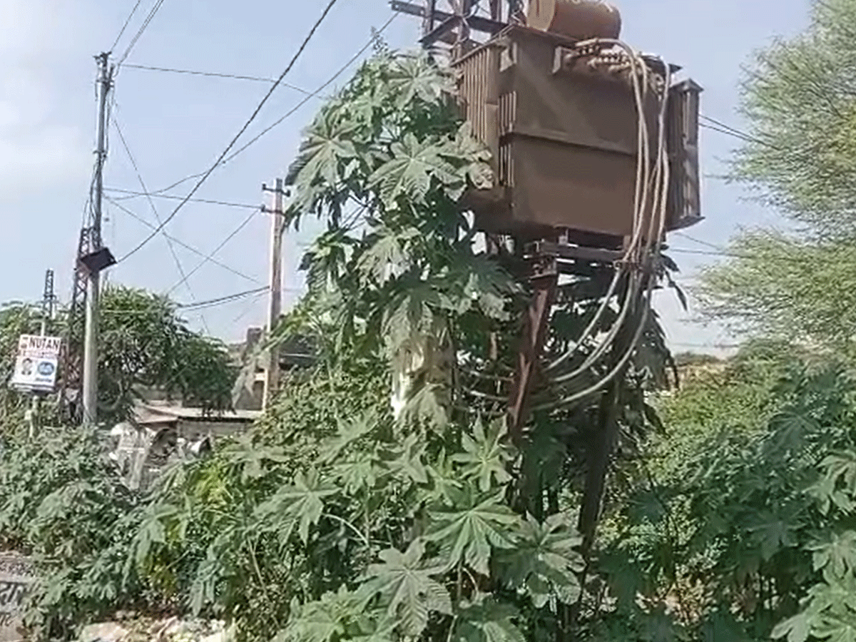 जयपुर के शाहपुरा में बिजली विभाग के मेंटेनेंस की खुली पोल, खंभों और ट्रांसफार्मर पर चढ़ी बेल जयपुर के शाहपुरा में बिजली विभाग के मेंटेनेंस की खुली पोल, खंभों और ट्रांसफार्मर पर चढ़ी बेल