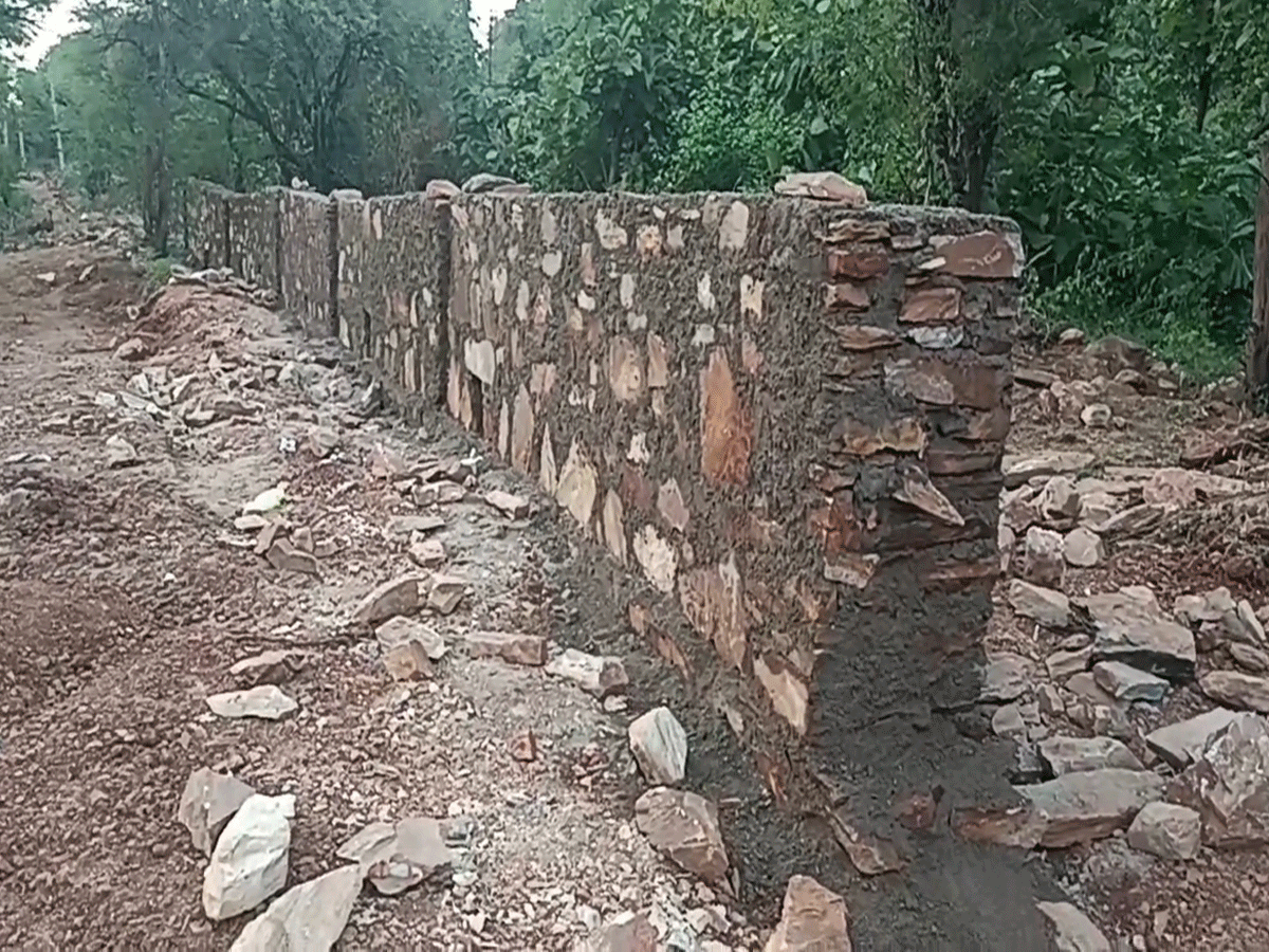 डूंगरपुर में वन विभाग में मनमर्जी, टेंडर खुलने से पहले ही करवा दिया काम डूंगरपुर में वन विभाग में मनमर्जी, टेंडर खुलने से पहले ही करवा दिया काम
