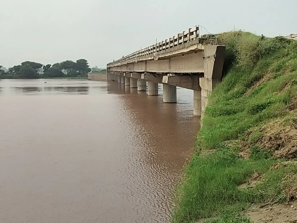 अनूपगढ़ के गांव 68/3 जीबी में घग्घर नदी में डूबने से किसान की मौत अनूपगढ़ के गांव 68/3 जीबी में घग्घर नदी में डूबने से किसान की मौत