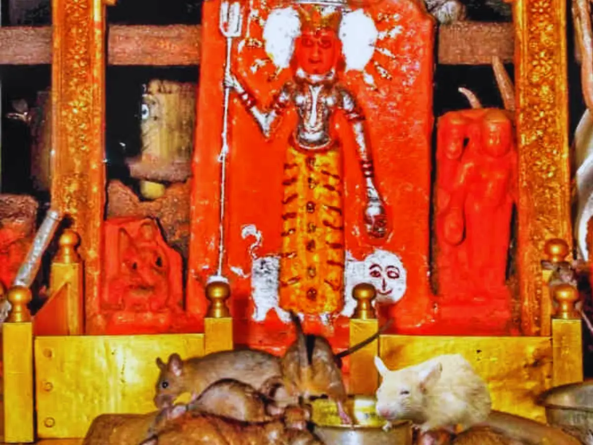 आस्था