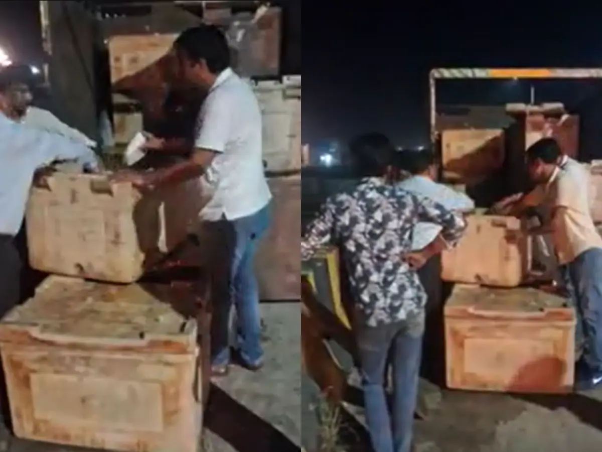 खाद्य सुरक्षा टीम की बड़ी कार्रवाई, पिकअप से जब्त किया 400 KG मिलावटी पनीर खाद्य सुरक्षा टीम की बड़ी कार्रवाई, पिकअप से जब्त किया 400 KG मिलावटी पनीर