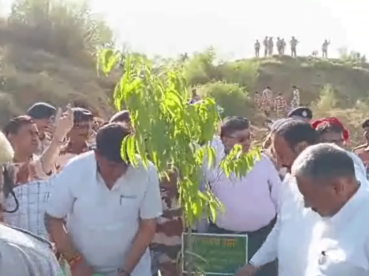 अलवर में एक पेड़ मां के नाम अभियान में लगाए गए 11 हजार पौधे, मंत्री संजय शर्मा बोले- हर नागरिक का कर्तव्य अलवर में एक पेड़ मां के नाम अभियान में लगाए गए 11 हजार पौधे, मंत्री संजय शर्मा बोले- हर नागरिक का कर्तव्य