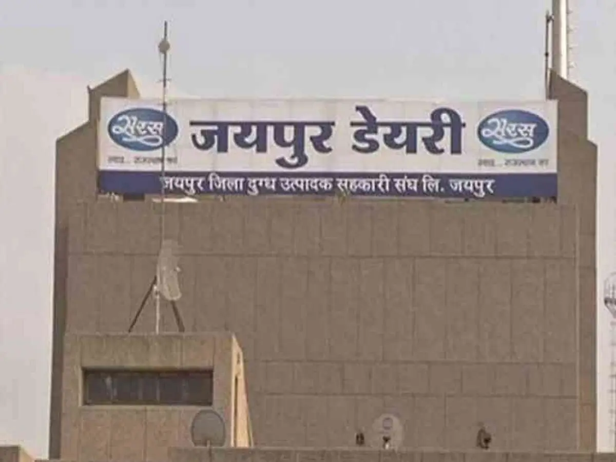 जयपुर डेयरी ने किसानों को दिया दिवाली गिफ्ट! 25 रुपए प्रति किलोग्राम की खरीद दर के साथ मिलेगा 4 रुपए का अतिरिक्त बोनस जयपुर डेयरी ने किसानों को दिया दिवाली गिफ्ट! 25 रुपए प्रति किलोग्राम की खरीद दर के साथ मिलेगा 4 रुपए का अतिरिक्त बोनस