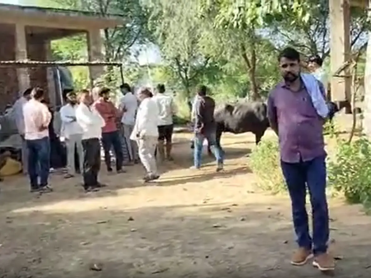 पीलवा गांव में शव छह घंटे से अंतिम संस्कार का इंतजार, जानें क्या है वजह पीलवा गांव में शव छह घंटे से अंतिम संस्कार का इंतजार, जानें क्या है वजह