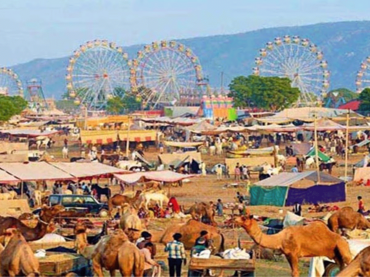 अजमेर में अंतरराष्ट्रीय पुष्कर मेला 22 अक्टूबर से 7 नवंबर तक, खींचा गया तैयारियों का खाका अजमेर में अंतरराष्ट्रीय पुष्कर मेला 22 अक्टूबर से 7 नवंबर तक, खींचा गया तैयारियों का खाका