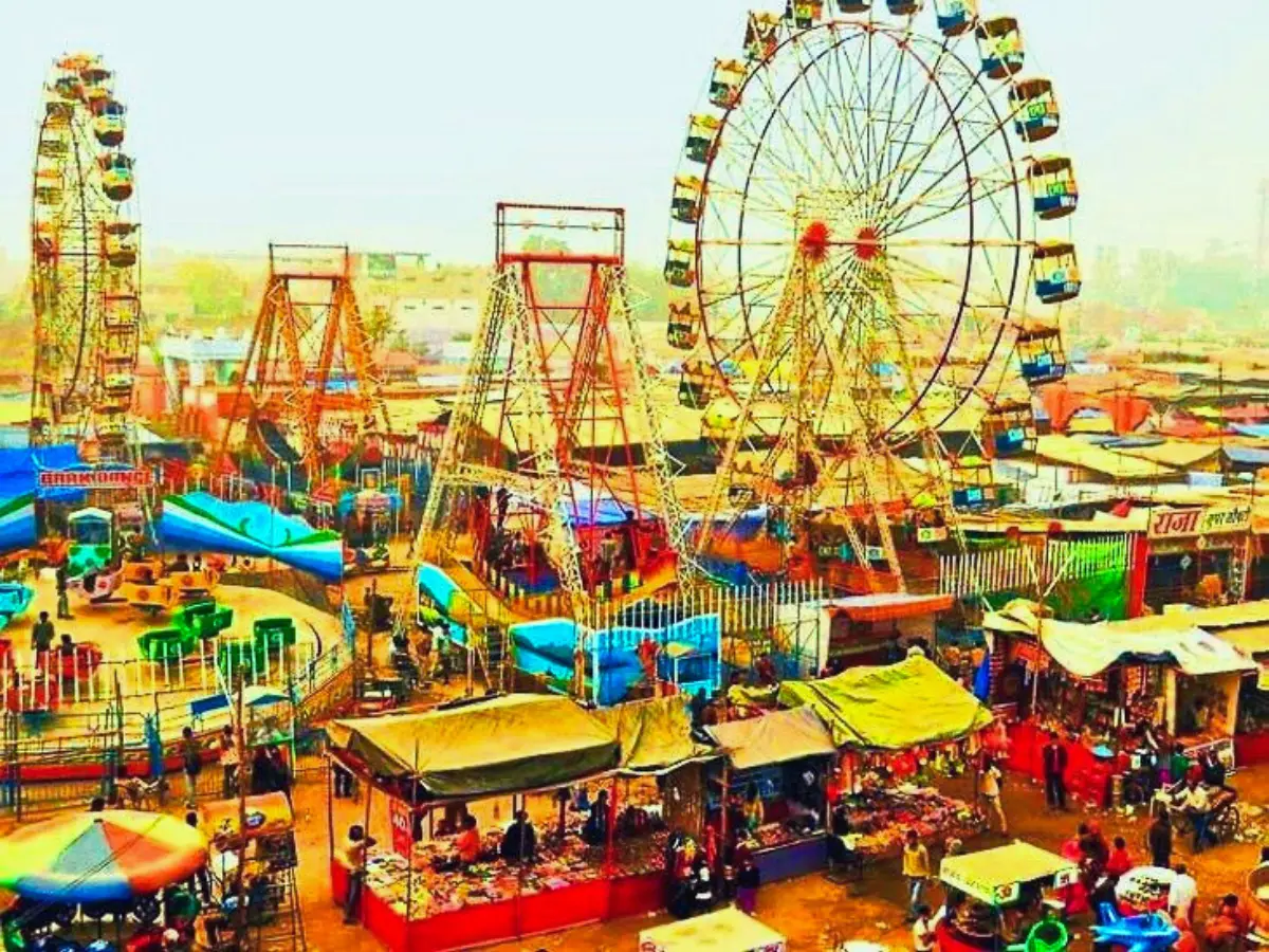 Pushkar Camel Fair 2025: थार की रेत पर संस्कृति, संगीत और ऊंटों का मेला, जहां पहुंचते हैं विदेशी भी घूमने