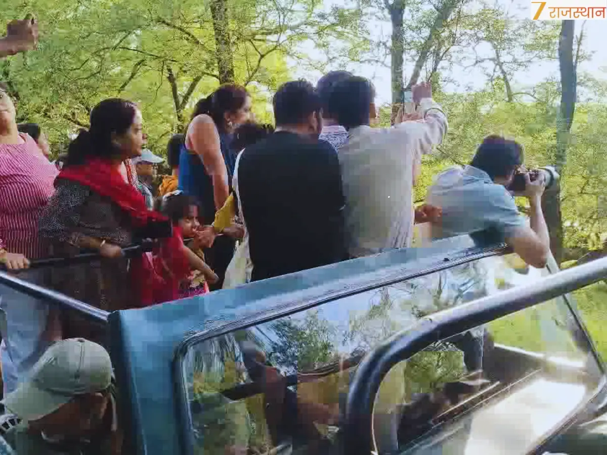 मादा के लिए संघर्ष