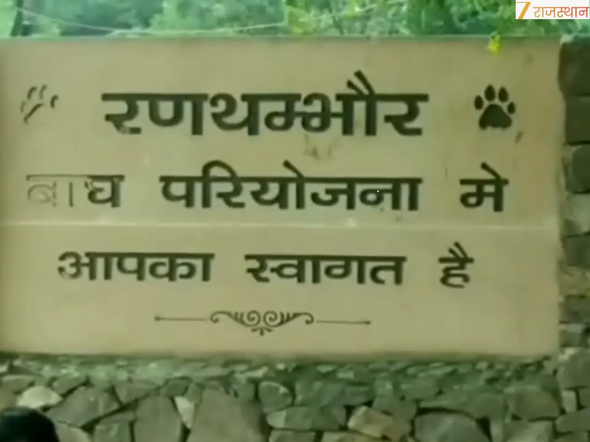 क्यों हो रहा है बाघों के बीच यह टकराव